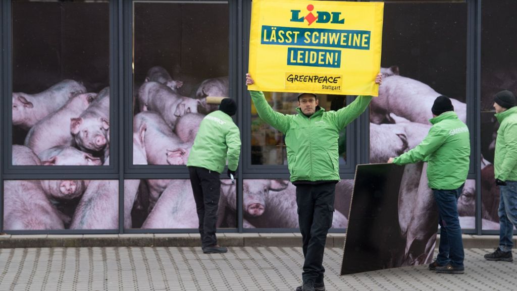 Vor Lidl-Filiale in Stuttgart: Greenpeace-Aktivisten protestieren gegen Billigfleisch