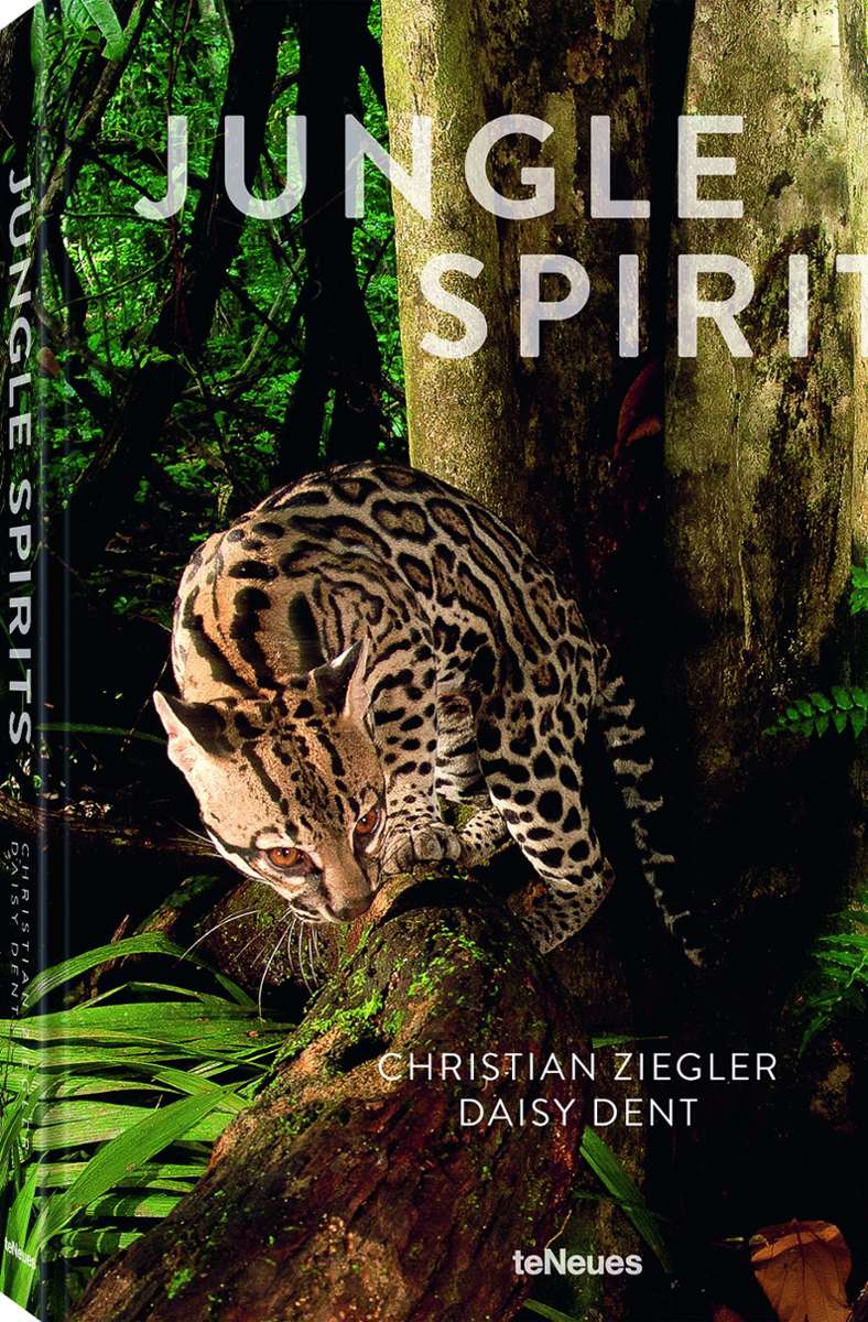 Alle Fotos stammen aus diesem Bildband von Christian Ziegler und Daisy Dent: Jungle Spirits. Texte auf Englisch und Deutsch. Verlag teNeues. 240 Seiten, 39,90 Euro. buecher-teneues.de.