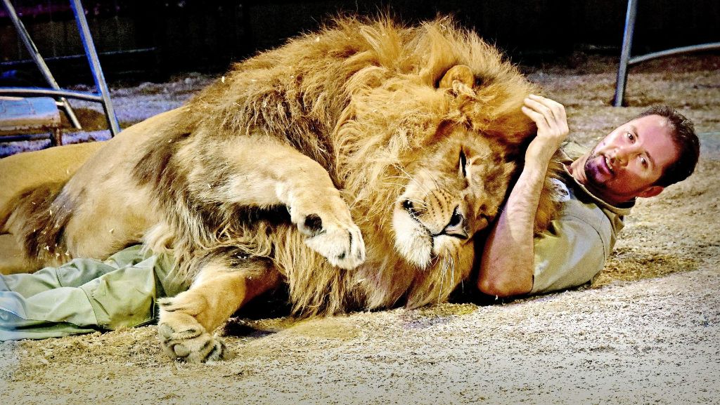 Wildtierverbot in Stuttgart: Dompteur des Circus Krone will gegen  Stadt klagen