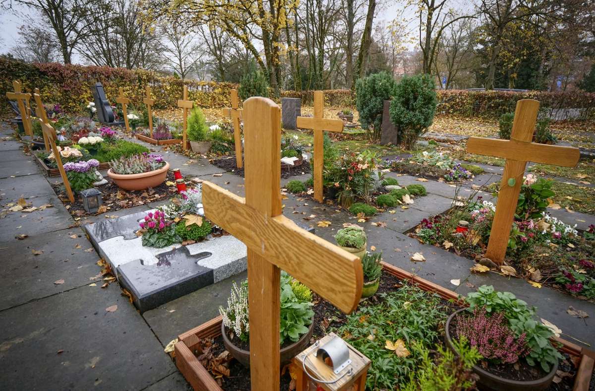 Friedhof der Marbacher Alexanderkirche: Diese Gräber belegen die Veränderungen in der Bestattungskultur – es gibt immer mehr Feuerbestattungen mit Urnengräbern, die kleiner sind als die bisherigen herkömmlichen Erdgräber.