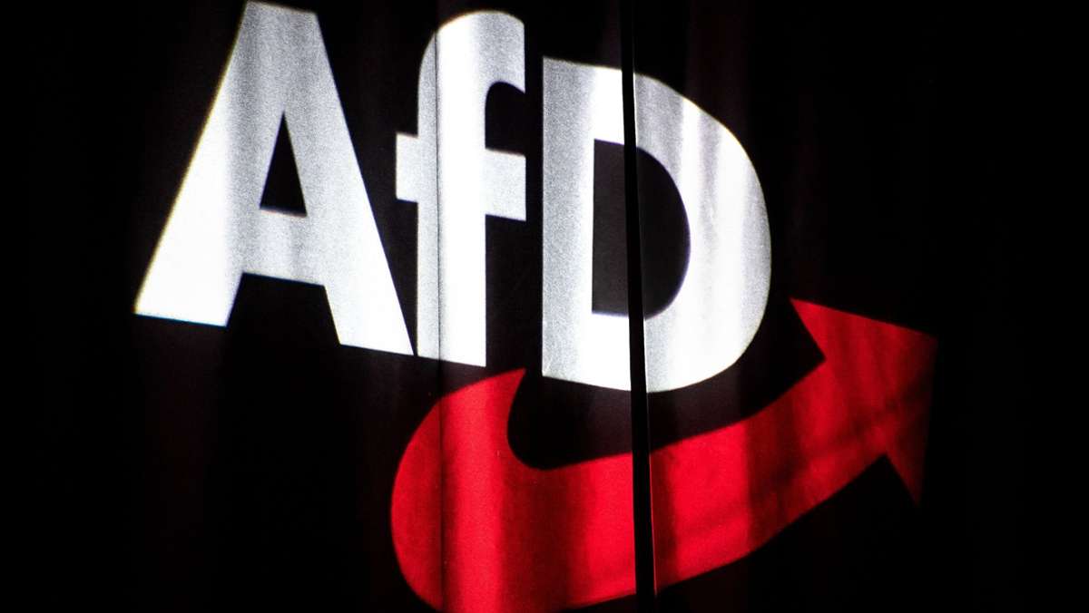 AfD unter Beobachtung: Demokratie braucht Schutz