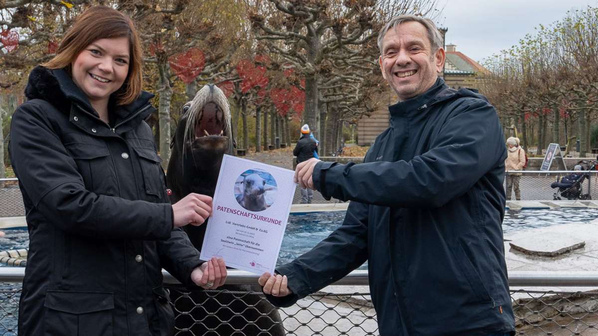 Artenschutz in der Wilhelma: Seelöwin Jette bekommt einen Paten