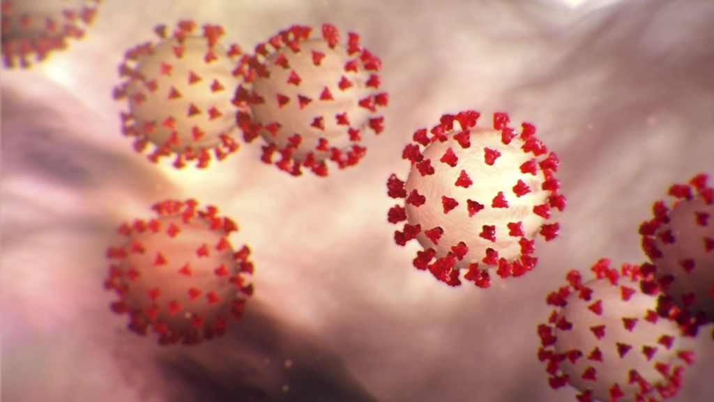 Mehr als 20 000 Infizierte durch Coronavirus: Sars und Corona: Welches Virus ist gefährlicher?