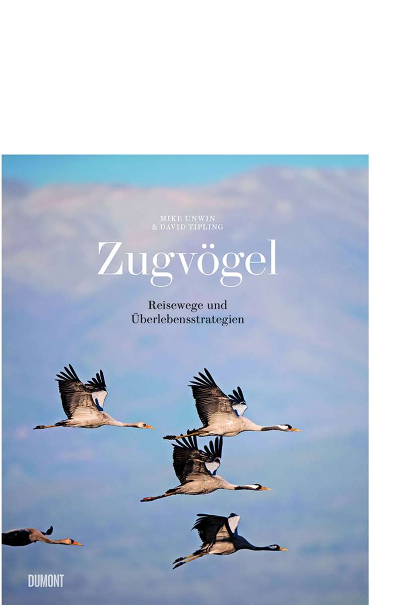Alle Fotos sind diesem Bildband entnommen: Zugvögel. Dumont-Verlag.