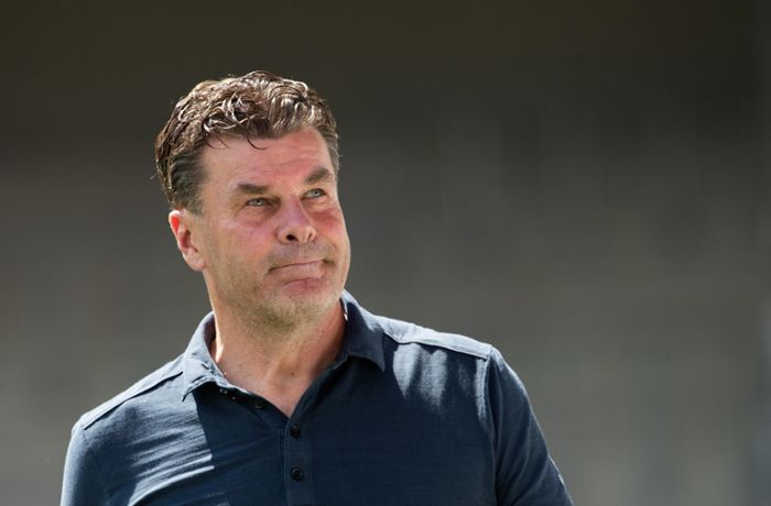 Dieter Hecking offenbar nicht mehr HSV-Trainer