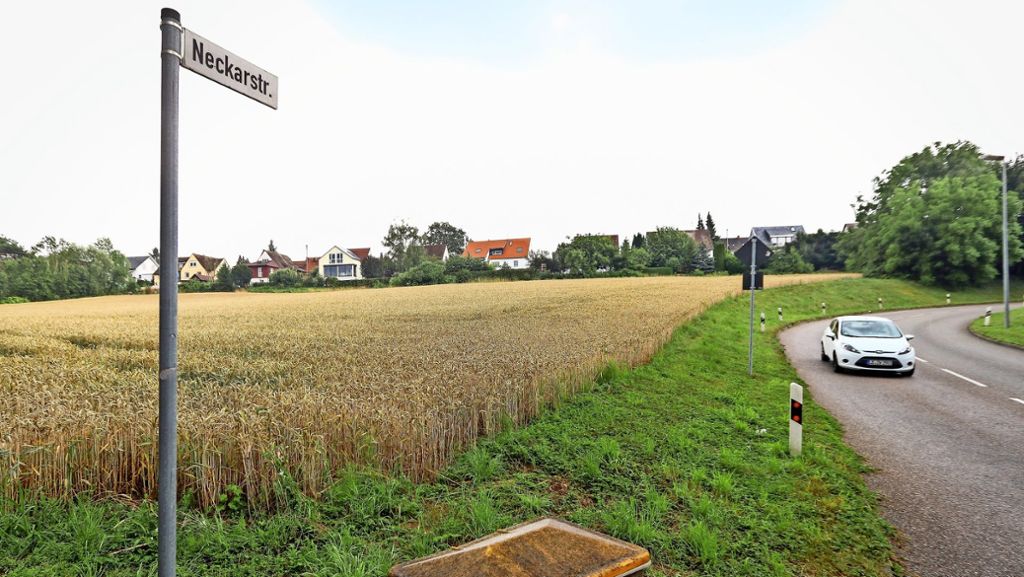 Im  Gebiet Gämsenberg in Ludwigsburg sollen preiswerte Apartments entstehen: Wohnsiedlung statt  Villenviertel