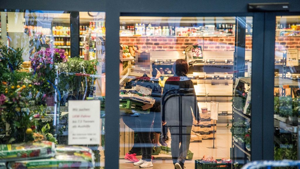 Esslingen: Hochgiftige Spinne in Supermarkt gefunden