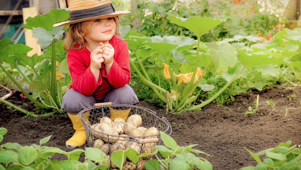 Kinder pflanzen und ernten: Kleine Gärtner
