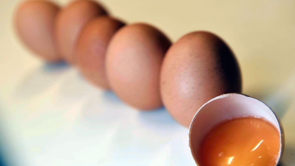 Fipronil-Skandal: Verseuchte Eier in Baden-Württemberg gefunden
