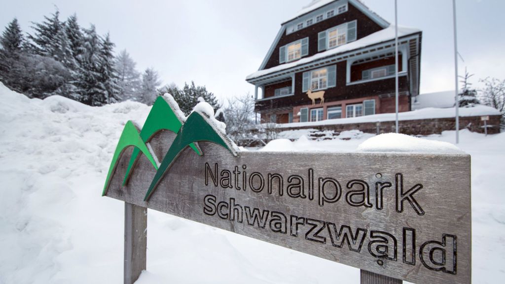 Vier Jahre Nationalpark Schwarzwald: Zwischen Mountainbikern und Käfersammlern
