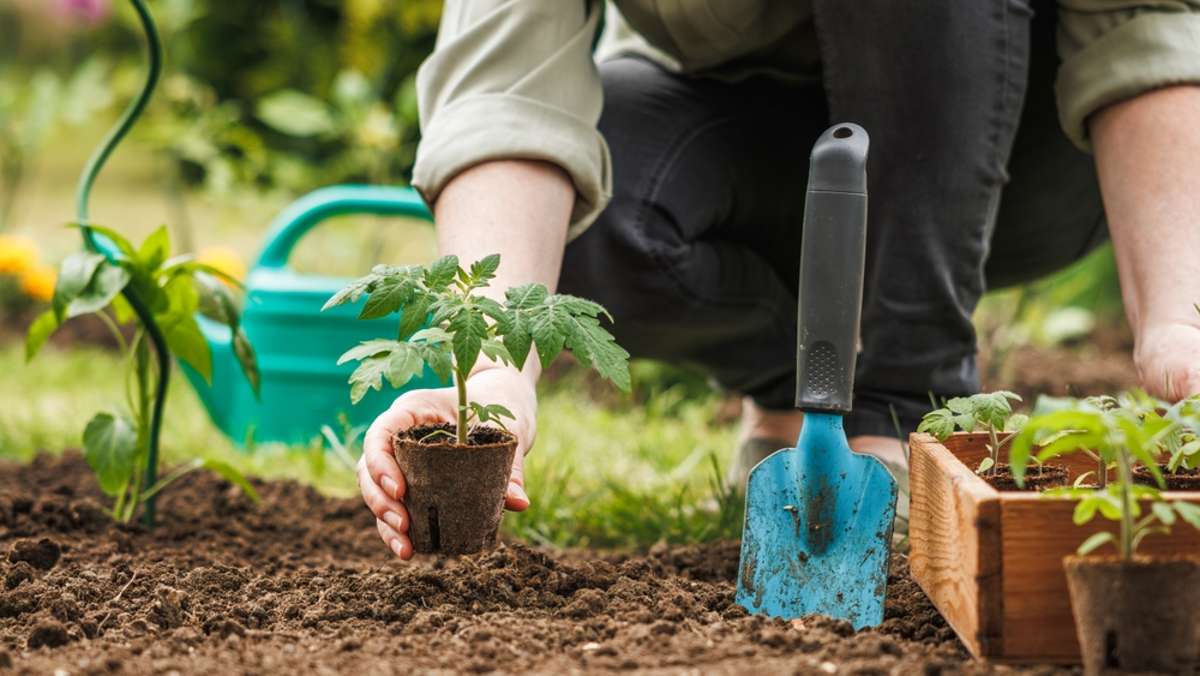 Rasen mähen: Darf man Ostermontag im Garten arbeiten?