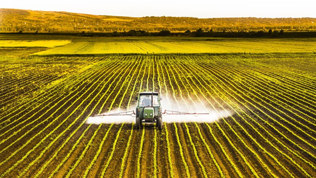 Pflanzenschutzmittel und Insektensterben: Sieben Fakten rund um Pestizide