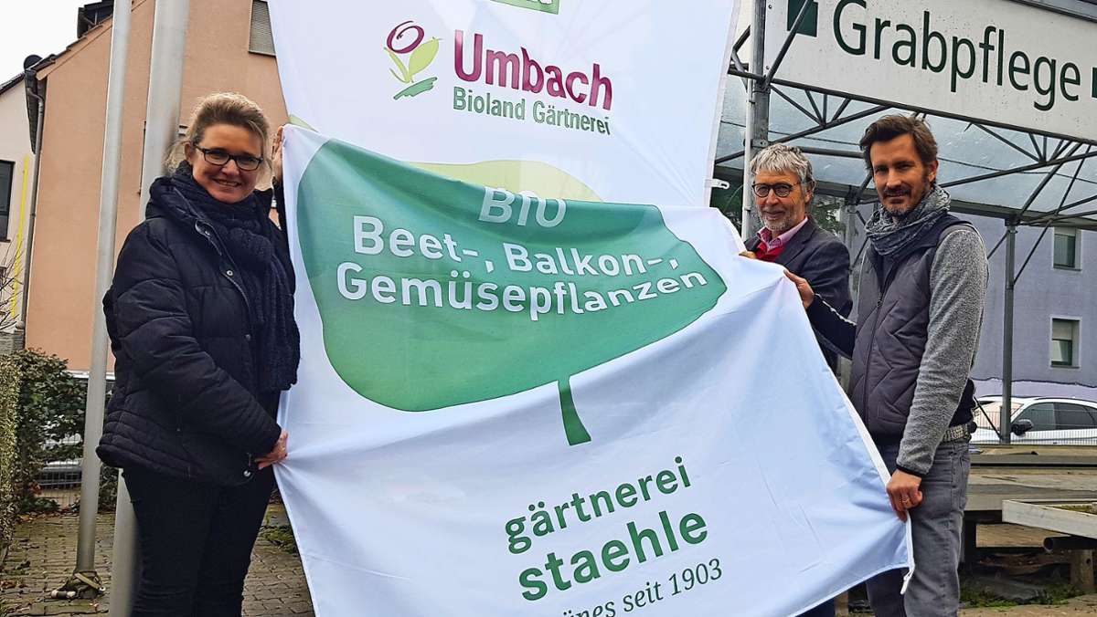 Betrieb  in Stuttgart-Zuffenhausen: Die Gärtnerei Staehle macht einen Schnitt