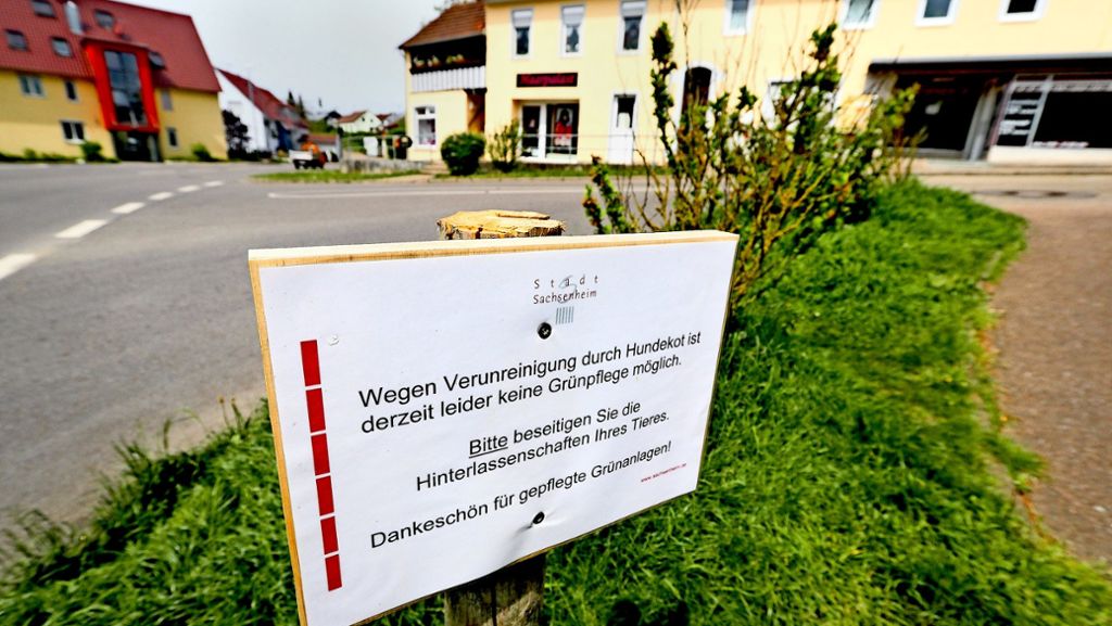 Wuchernde Wiesen in Sachsenheim: Bauhof-Mitarbeiter streiken wegen Hundehaufen