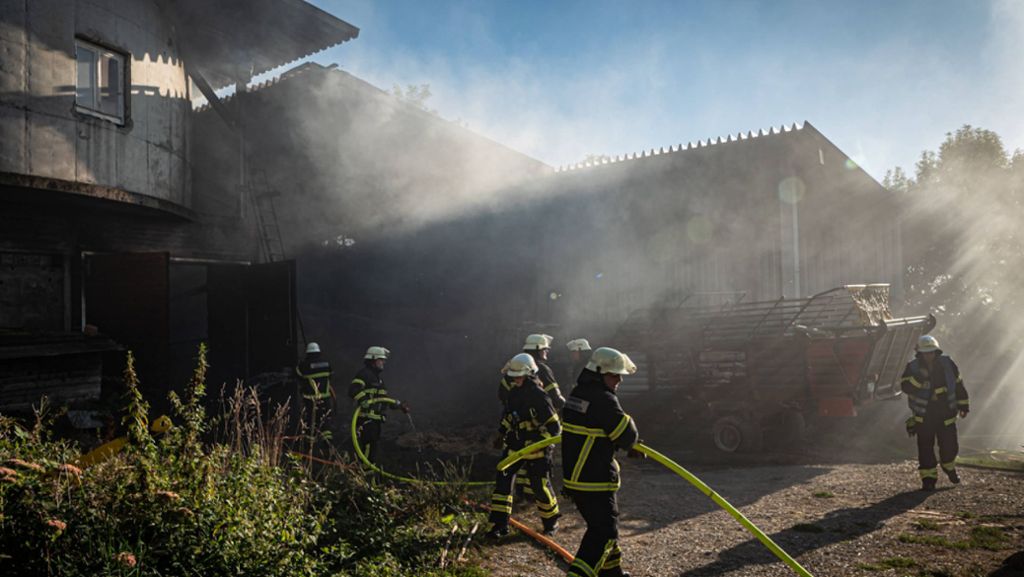 Brand in Sindelfingen: Feuerwehr rettet Kühe aus brennendem Stall