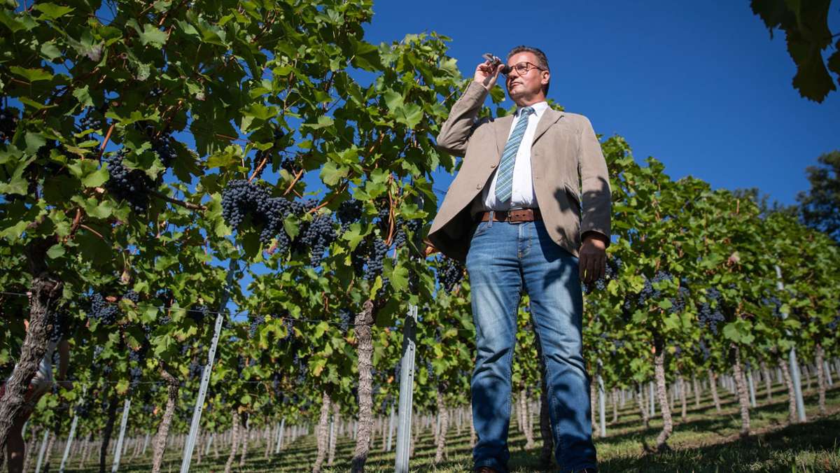  Der Landesagrarminister von Baden-Württemberg plant eine Förderung von Ertragsversicherungen für Obst- und Weinbauern, die etwa Ernteausfällen aufgrund von Regen oder Hagel abdeckt. 