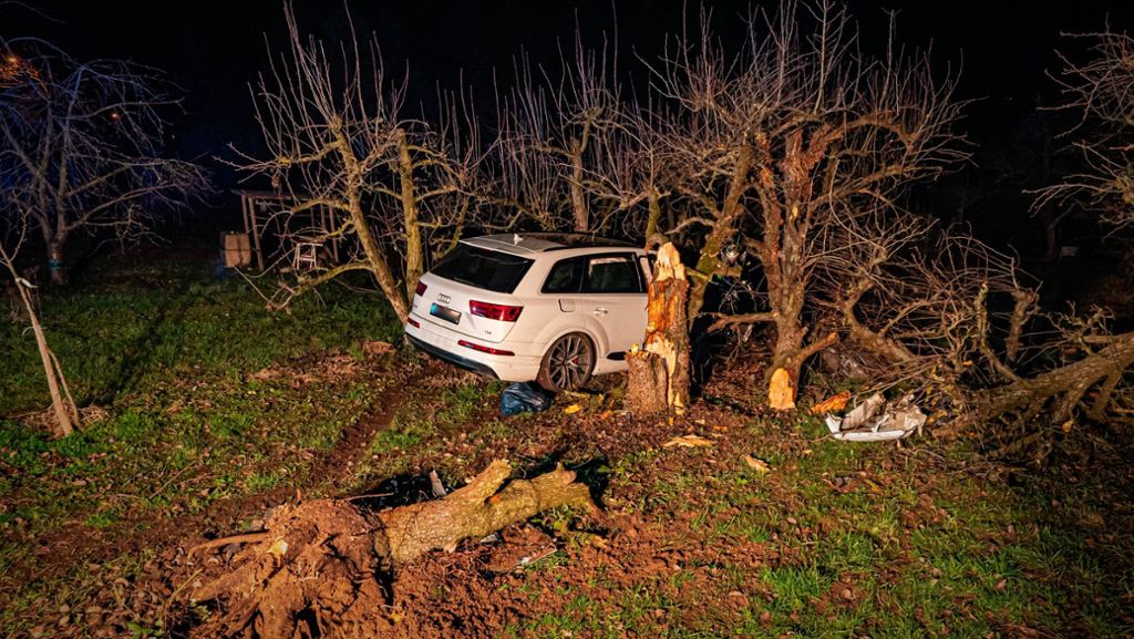 Unfall in Stuttgart-Rotenberg: SUV-Fahrer kracht gegen Bäume – 100.000 Euro Schaden