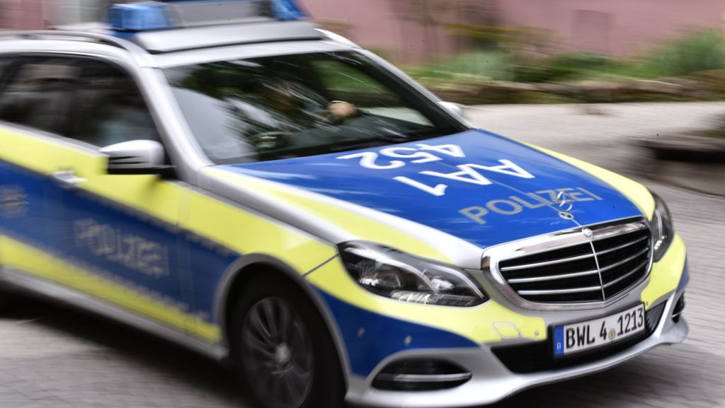  In Denkendorf muss die Polizei am Donnerstag schlichten. Plötzlich werden die Beamten selber zur Zielscheibe. 