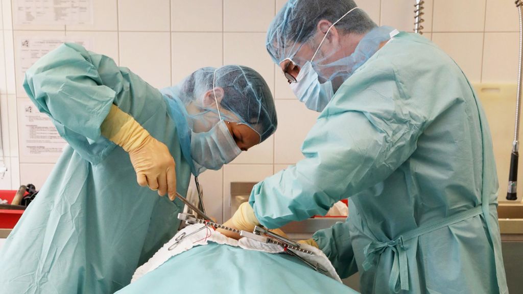 Organspende: Zahl der  Organspender wieder gesunken