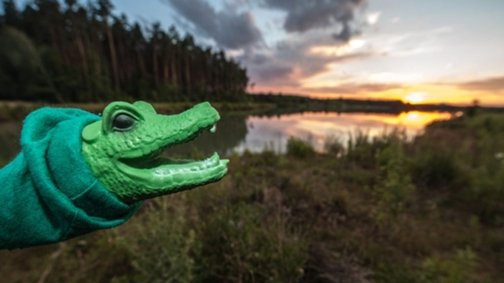 Tiere im Sommerloch: Ein Krokodil im Schwandorfer See?