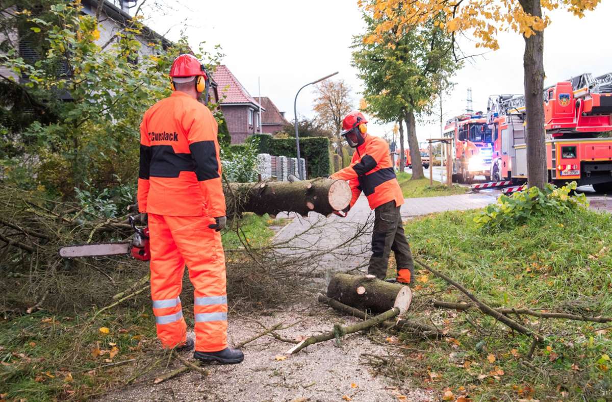 In Hamburg muss sich die Feuerwehr um umgestürzte Bäume kümmern.