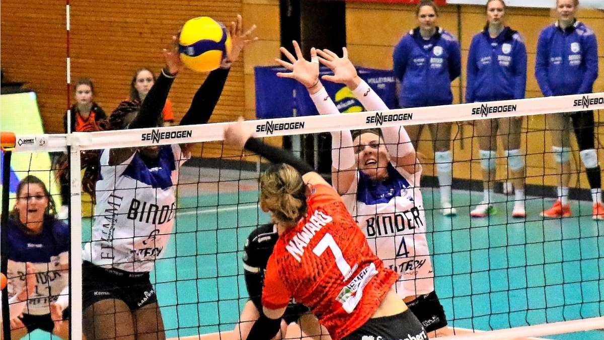 Volleyball Zweite Liga Pro: Blaubären des TSV Flacht wittern Morgenluft im Abstiegskampf
