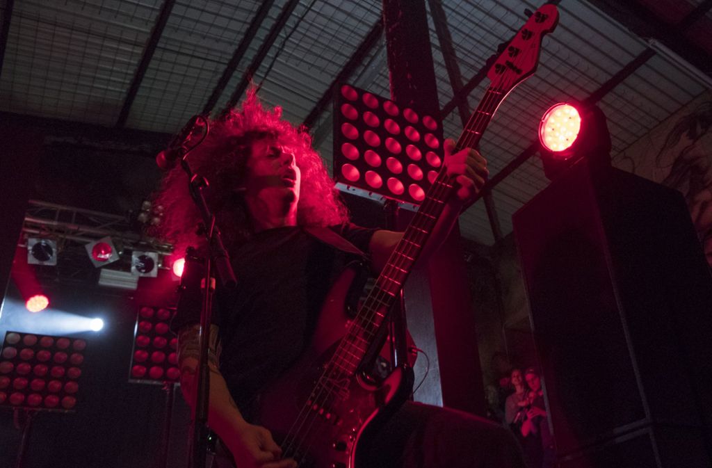 Bassist Niko Maurer ließ seine Lockenpracht im Takt schwingen.