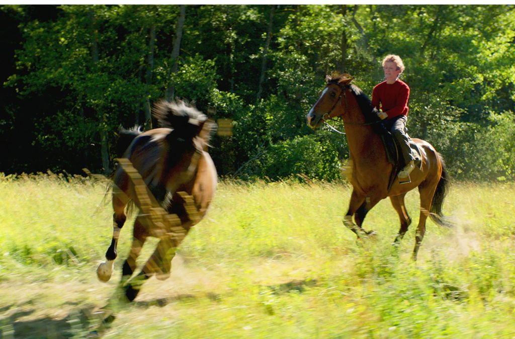 Eingebettet in den norwegischen Wald: Hans Petter Molands Drama „Pferde Stehlen“