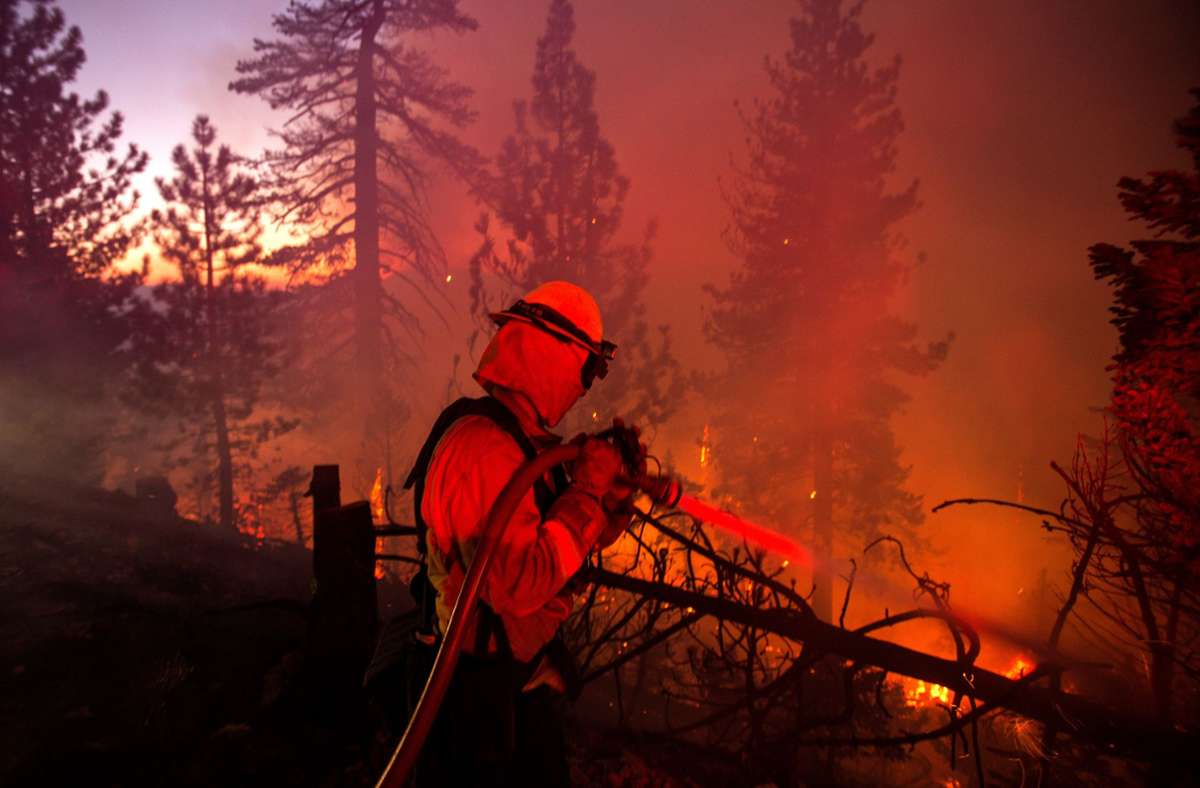 2020: Ein Feuerwehrmann löscht ein Feuer in einem Waldgebiet im Angeles National Forest.