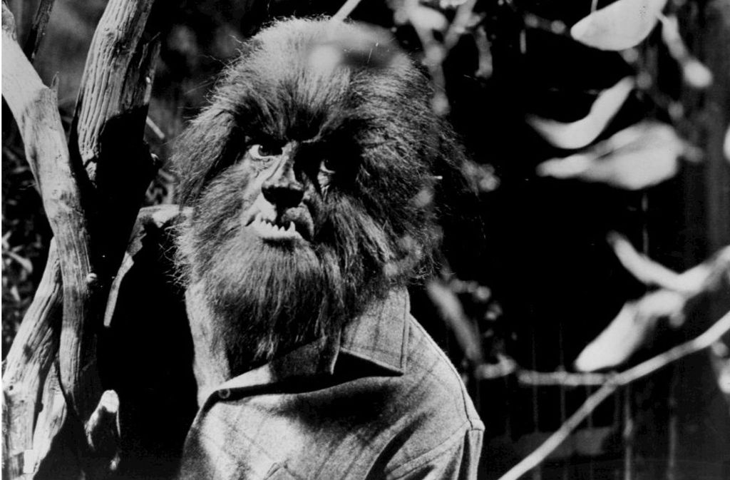 Bei Vollmond verwandelt sich ein von einem Werwolf Gebissener selbst in eine reißende Bestie, halb Mensch halb Wolf (Foto: Alex Stevens als Werwolf in der amerikanischen TV-Serie „Dark Shadows“, 1966-1971).