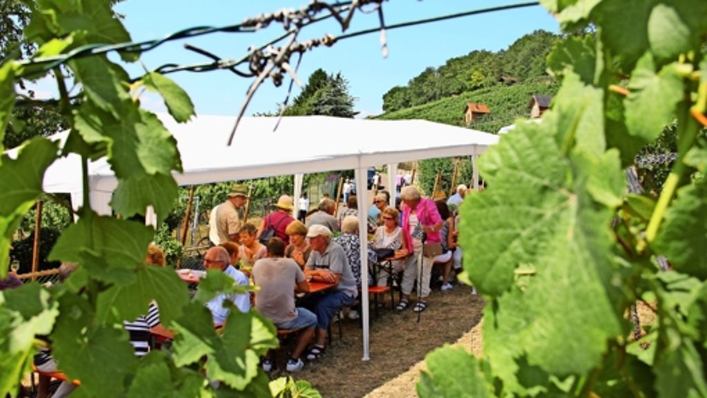 Feuerbacher Weinwanderung: Wein und Sonnenschein locken zahlreiche Besucher