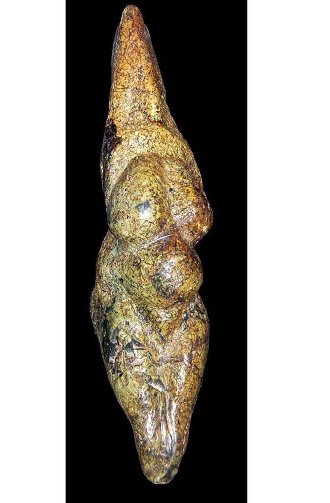 Venus von Savignano (20 000 bis 25 000 Jahre): Die aus Serpentin angefertigte Venusfigurine stammt aus dem Jungpaläolithikum und wurde 1925 in Savignano sul Panaro beim Ausbau eines Hauses in der Nähe von Modena entdeckt. Mit 22,1 Zentimetern und einem Gewicht von 586,5 Gramm ist sie eine der größten bekannten Venusfiguren.