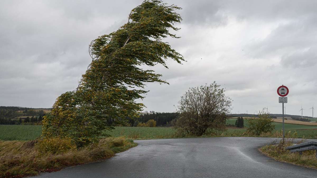  Umgestürzte Bäume, blockierte Straßen und Gleise: Der erste große Herbststurm hat in weiten Teilen Deutschlands gewütet. Viele Notrufe gingen bei den Behörden ein, mehrere Menschen wurden verletzt. 