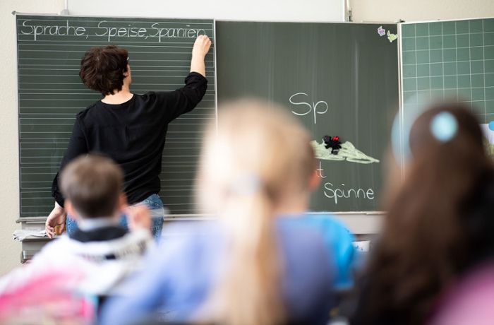 Schulreformen in Baden-Württemberg: Das sind Theresa Schoppers Pläne