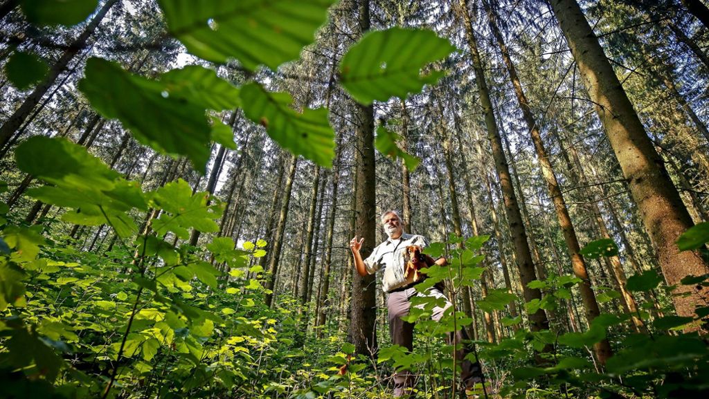 Freizeitplätze im Strohgäu: Grillstellen  im Wald sind wegen Brandgefahr gesperrt