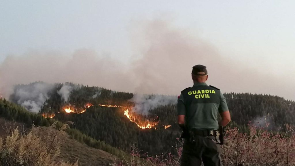 Mehrere Orte evakuiert: Waldbrand wütet auf Gran Canaria