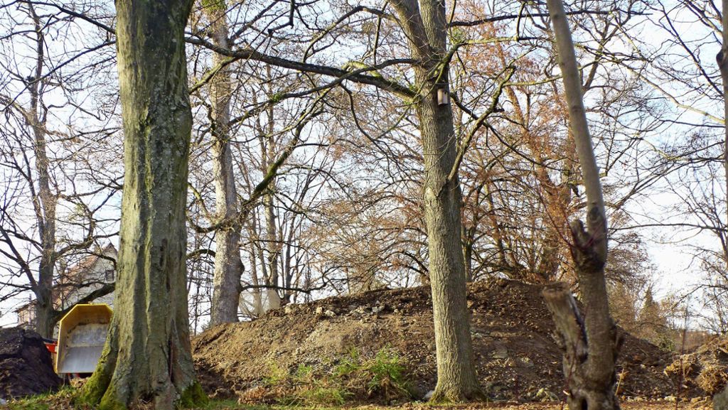 Verunreinigungen in Stetten: Im Schlosspark wird Arsen entdeckt
