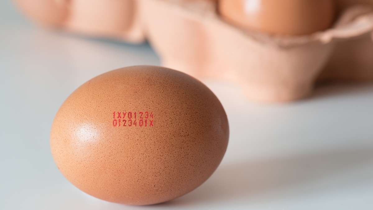 Was bedeutet der Code auf den Eiern?