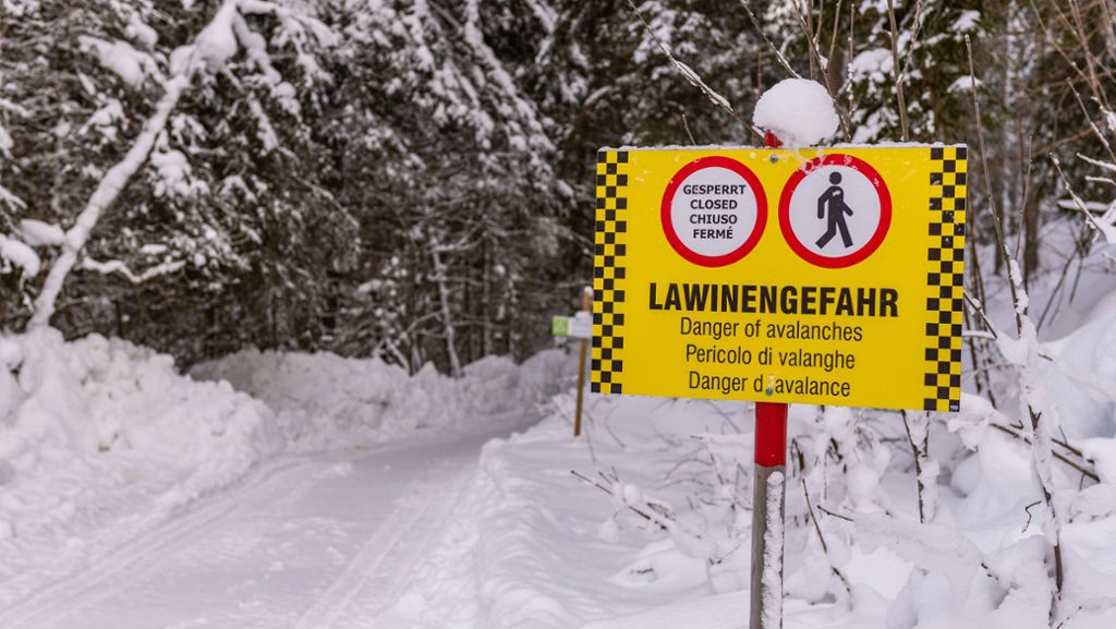 Österreichische und Schweizer Alpen: Mehrere Menschen nach Lawinenabgängen verschüttet