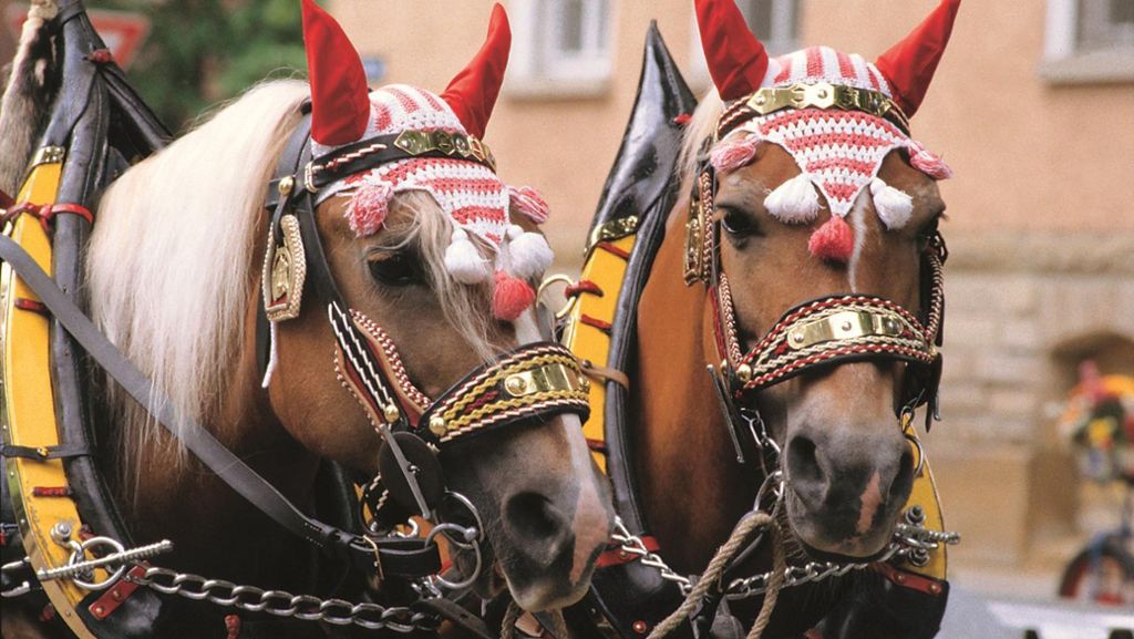 Pferdemarkt in Ludwigsburg: Zum Jubiläum noch mehr Pferde