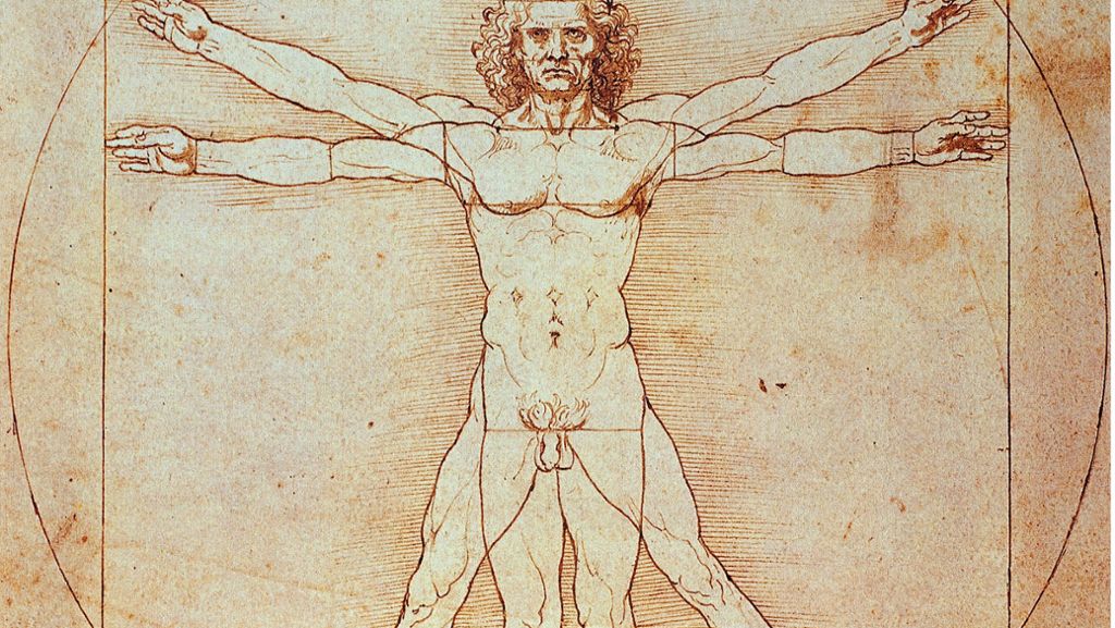  Der Louvre muss warten: Ein italienisches Gericht hat die geplante Ausleihe der berühmten Zeichnung „Der Vitruvianische Mensch“ von Leonardo da Vinci gestoppt. 