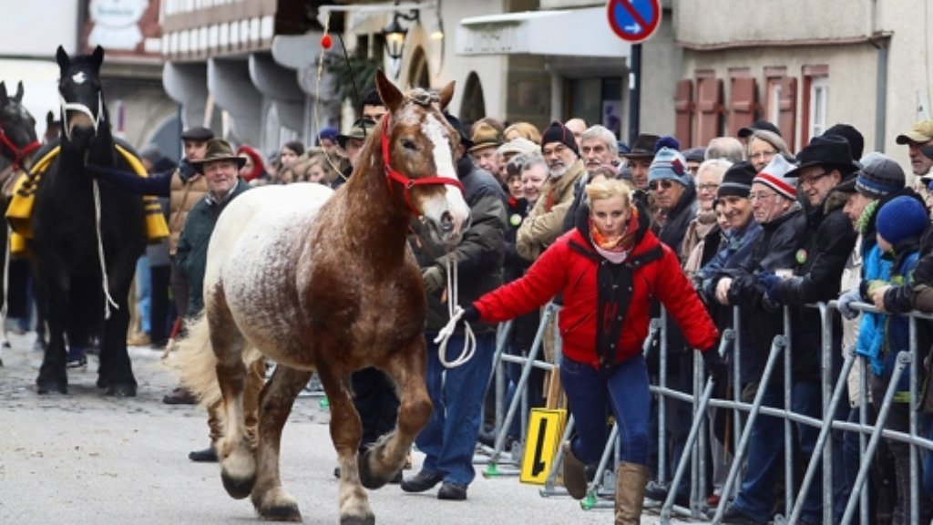Leonberg: „Pferdehändler zu bleiben,  ist eine Kunst“