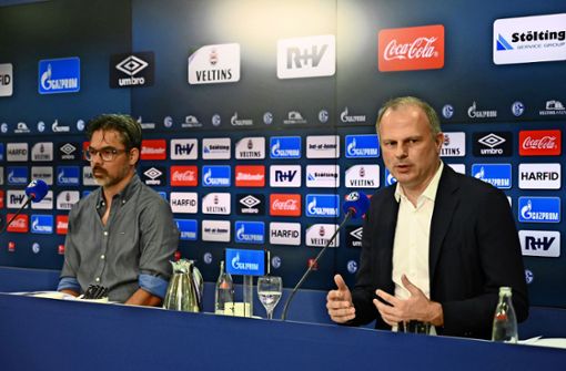 Glückliche Schalker sehen anders aus: Trainer David Wagner (links) und Sportvorstand Jochen Schneider. Foto: imago/Team 2