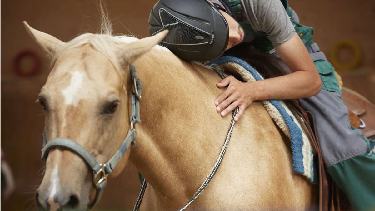 Hippotherapie auf dem Pferdehof in Stetten: Therapeuten auf vier Hufen