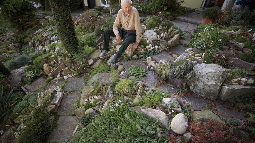 Naturnaher Steingarten in Waiblingen: Die Alpen liegen direkt vor der Haustür