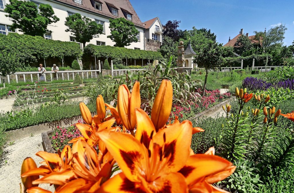 Dass der Pomeranzengarten so schön blüht, verdanken wir unter anderem Jana Hubbes vom städtischen Betriebshof. Foto: factum/
