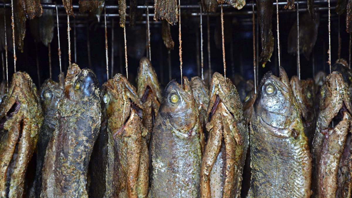 Fischerei- und Hegeverein Wernau: Die „Forelle-to-go“ ist ein echter Verkaufsschlager