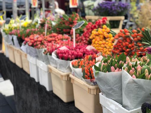 Die schönsten Blumen in Stuttgart Stuttgarter Wochenmarkt