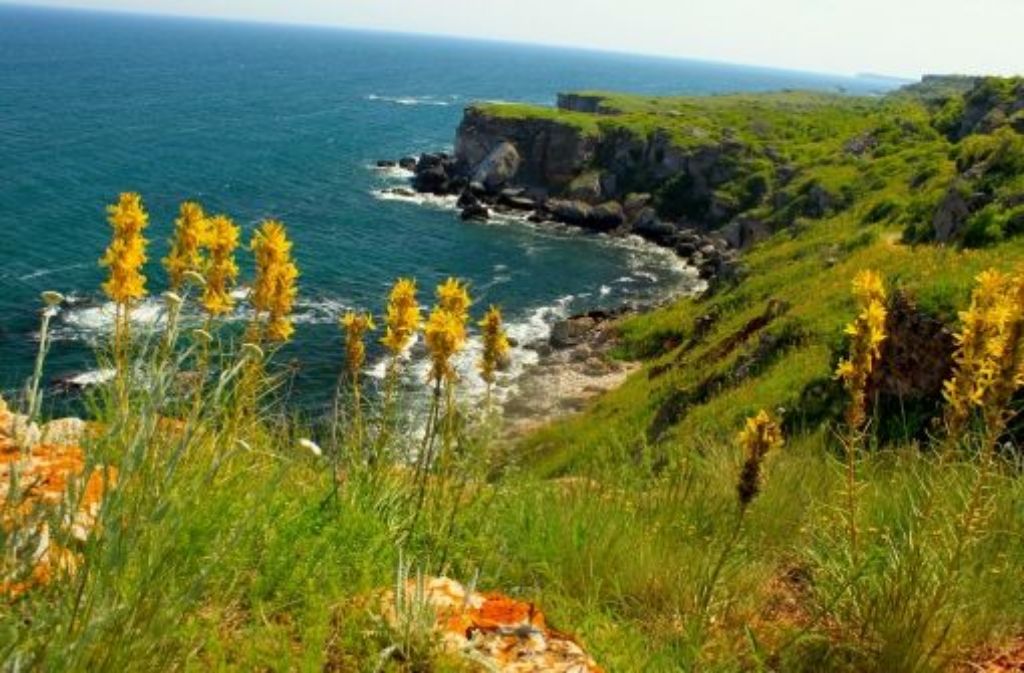 Die Schwarzmeerküste Bulgariens ist an vielen Stellen wild und naturbelassen – hier die Steilküste bei Kamen Brjag. Foto: Miehtig