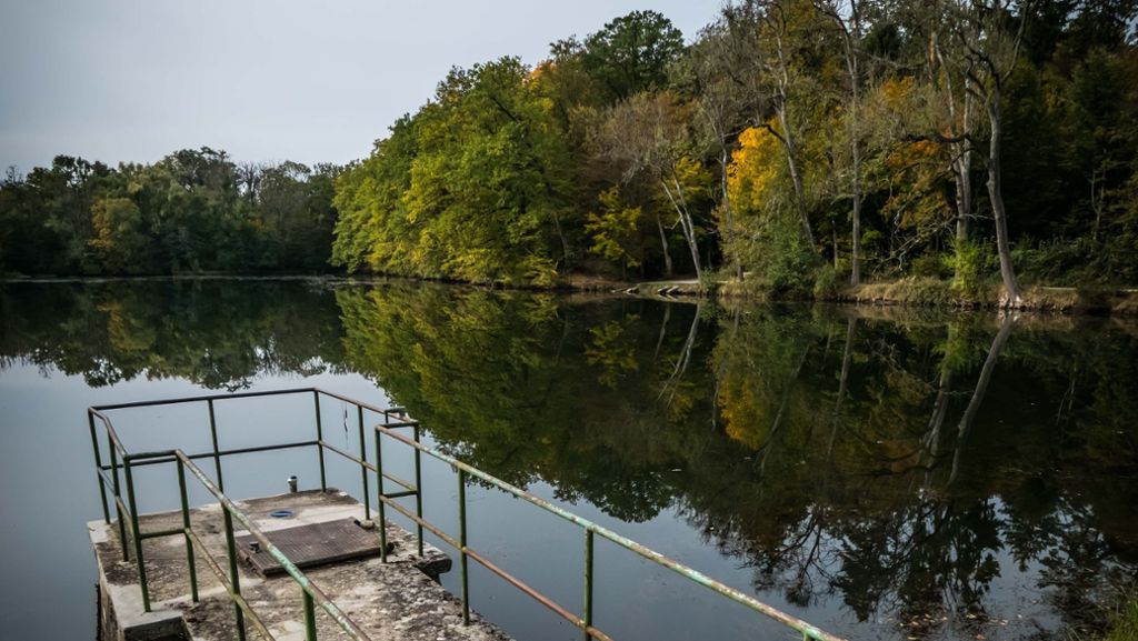 Seen in Stuttgart-Büsnau/Stuttgart-West: Grüne fordern die Stadt zum Kauf auf